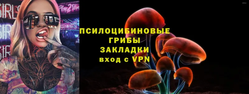 Псилоцибиновые грибы Psilocybine cubensis  где найти   Салаир 